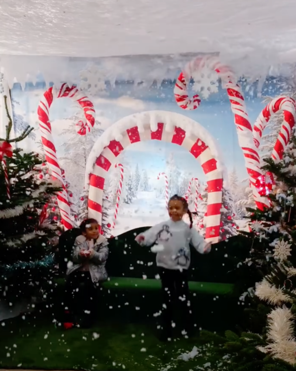 Christmas Events in Poole 2026: Lights, Santa and Festive Shows