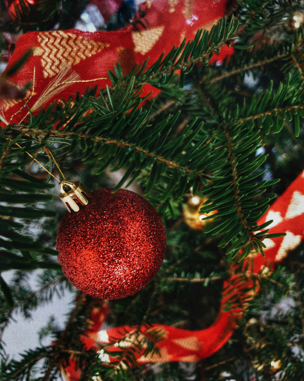 Christmas Events in Poole 2026: Lights, Santa and Festive Shows
