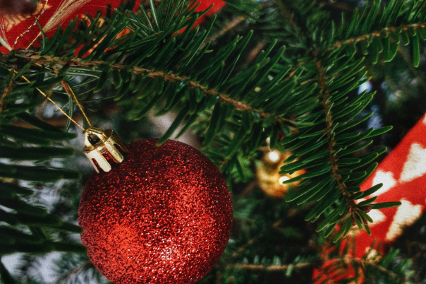 Christmas Events in Poole 2026: Lights, Santa and Festive Shows