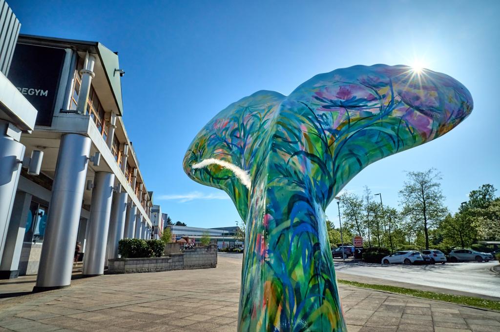 Tower Park Poole: Things to Do, Restaurants, Parking & Visitor Guide