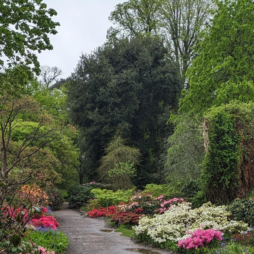 Kingston Lacy Dorset: National Trust House, Gardens, History & Visitor Guide