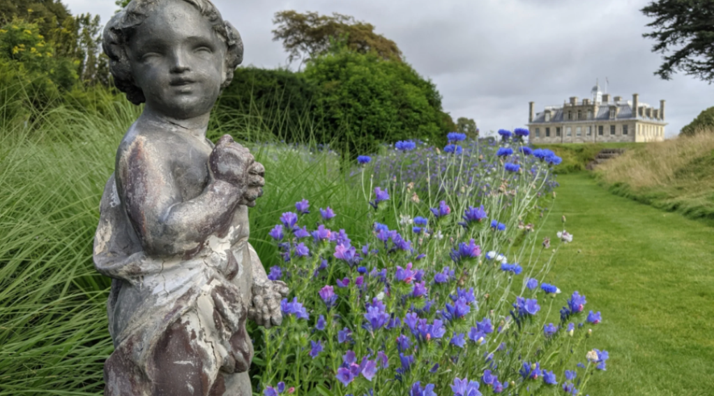 Kingston Lacy Dorset: National Trust House, Gardens, History & Visitor Guide