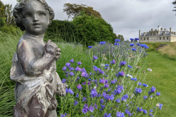 Kingston Lacy Dorset: National Trust House, Gardens, History & Visitor Guide