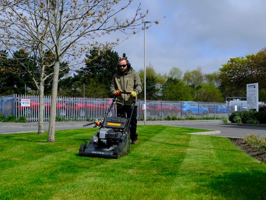Warrens Gardens Ltd - Bournemouth Gardening Services