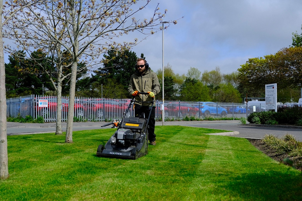 Warrens Gardens Ltd - Bournemouth Gardening Services
