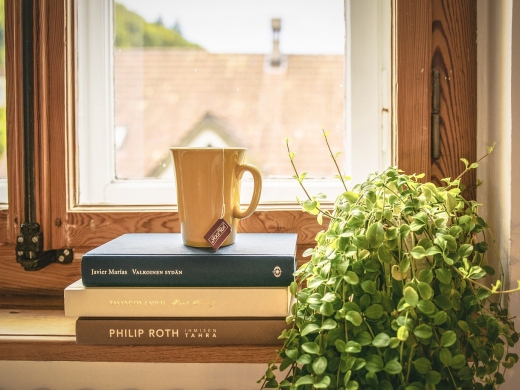 Compare Services from Holiday Rentals Agents in Dorset