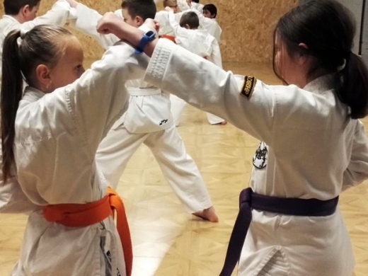 Bournemouth JKA Karate Club