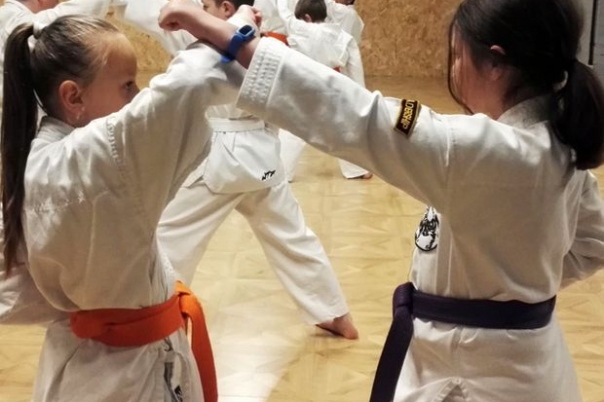 Bournemouth JKA Karate Club