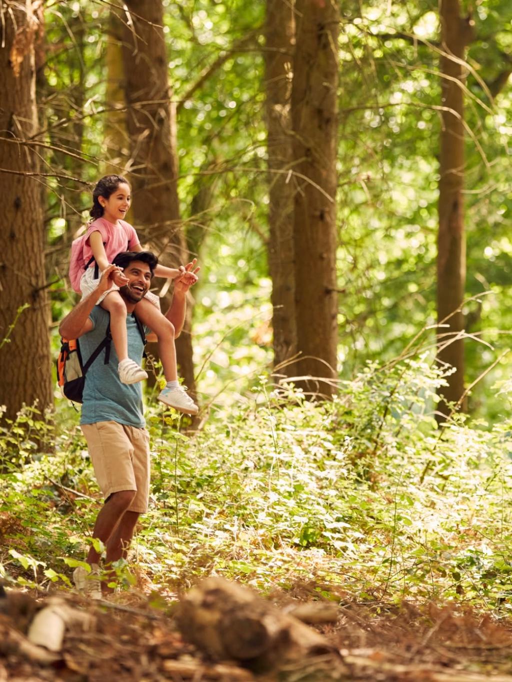 The Top Campsites in Dorset