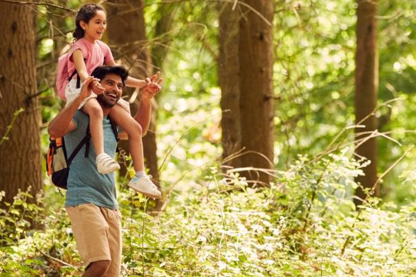 The Top Campsites in Dorset