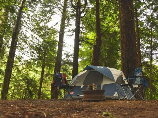 The Top Campsites in Dorset