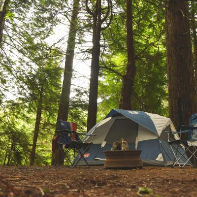 The Top Campsites in Dorset