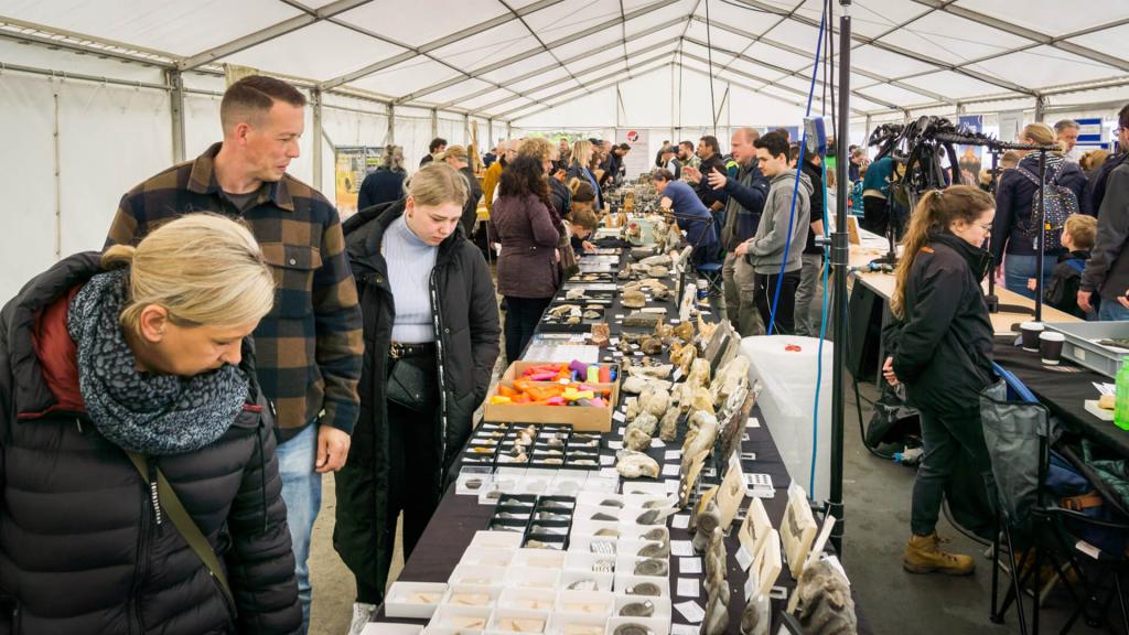 Lyme Regis Fossil and Earth Science Festival | 12-13 June 2027
