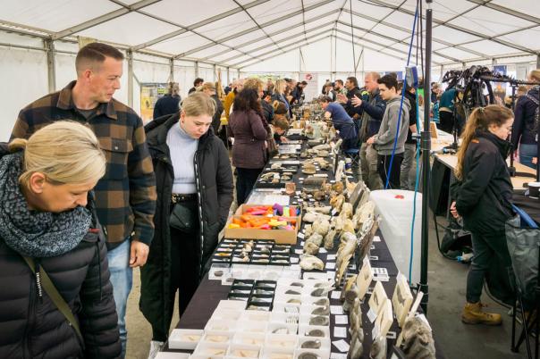 Lyme Regis Fossil and Earth Science Festival | 12-13 June 2027