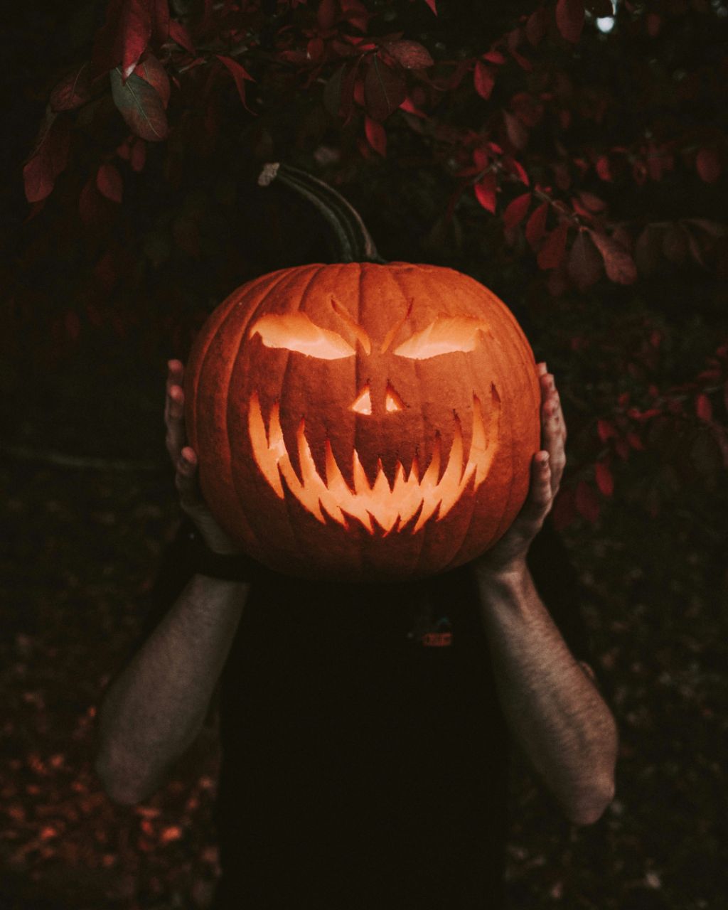 Halloween Events in Southbourne 2026: Parties, Dog Cafés and Pumpkin Fest Preview
