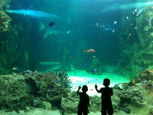 Guide to Family Attractions in Dorset