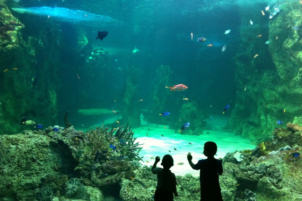 Guide to Family Attractions in Dorset