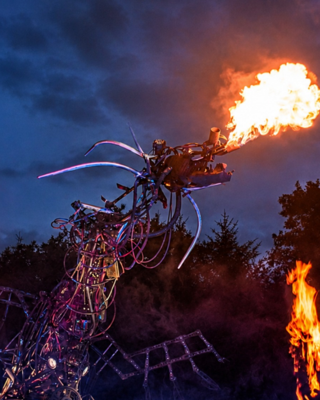 Arts by the Sea Has Just Revealed Its Full 2026 Programme - Here’s What’s Coming to Bournemouth
