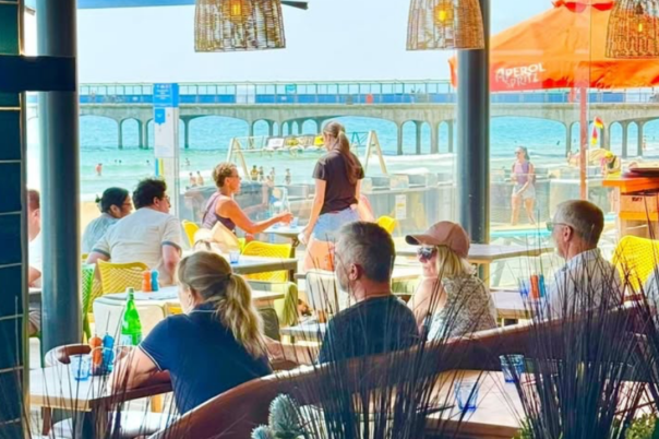 6 Coastal Restaurants for Sunday Lunch in Dorset: From Christchurch to Studland