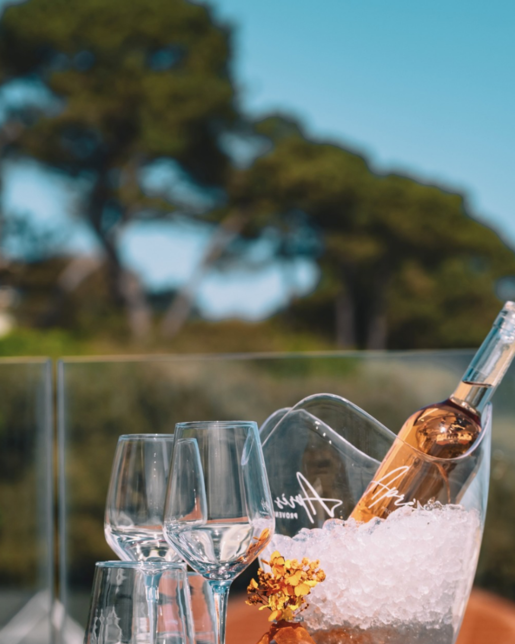 6 Coastal Restaurants for Sunday Lunch in Dorset: From Christchurch to Studland