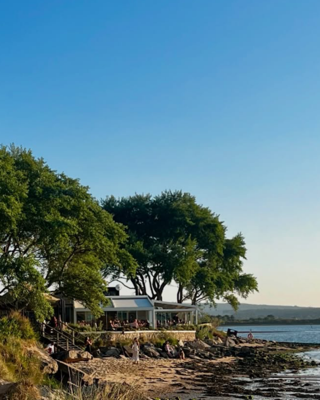 6 Coastal Restaurants for Sunday Lunch in Dorset: From Christchurch to Studland