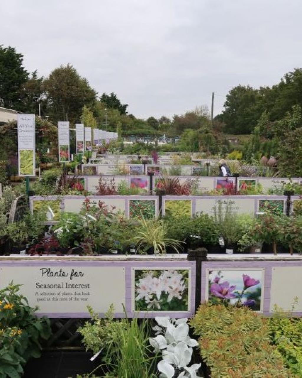 Stewarts Garden Centre Christchurch