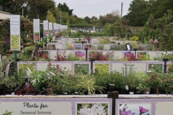 Stewarts Garden Centre Christchurch