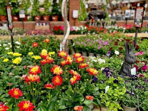 Stewarts Garden Centre Christchurch