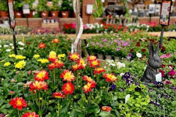 Stewarts Garden Centre Christchurch