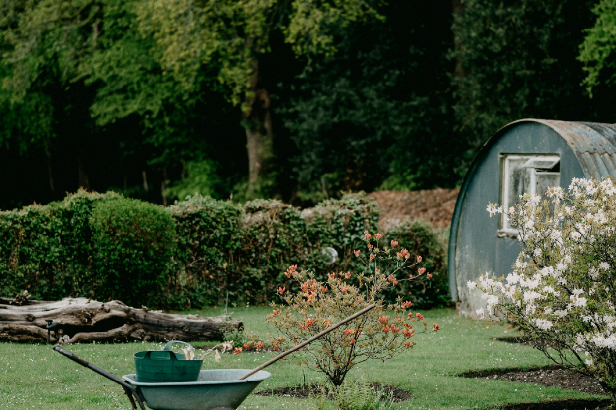 Finding Gardeners in Bournemouth: Maintenance, Clearances and Tree Work