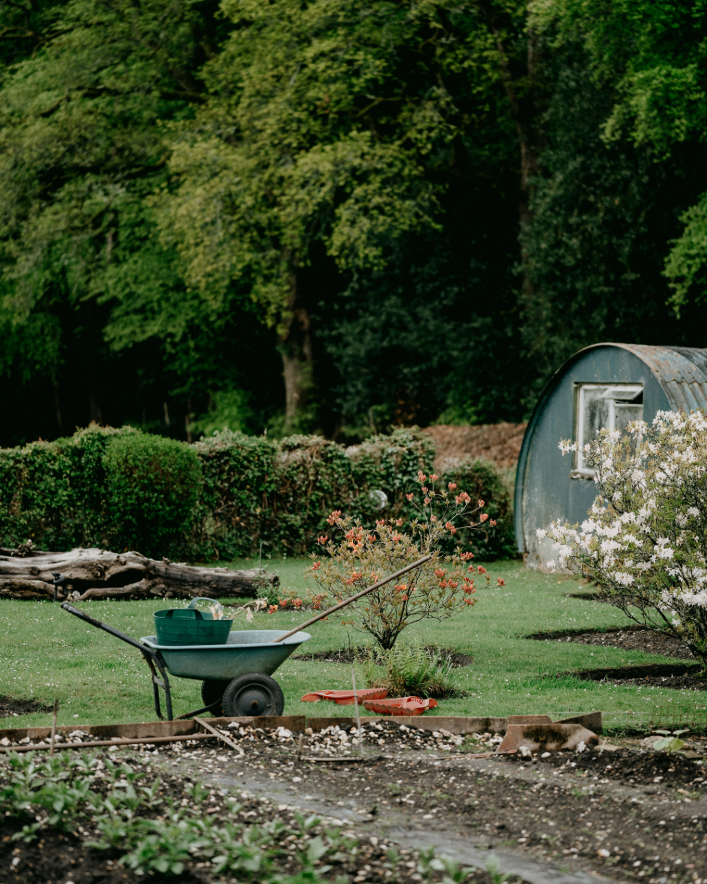 Finding Gardeners in Bournemouth: Maintenance, Clearances and Tree Work