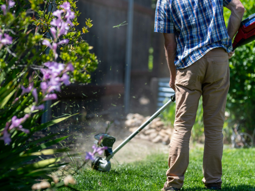 Finding Gardeners in Bournemouth: Maintenance, Clearances and Tree Work