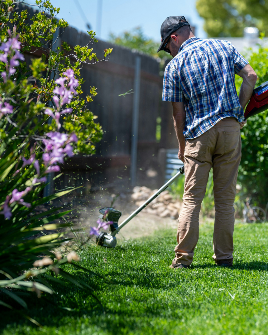 Finding Gardeners in Bournemouth: Maintenance, Clearances and Tree Work