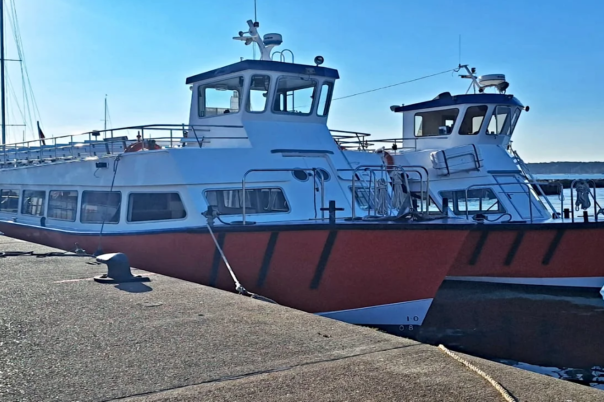 Brownsea Island Dorset - The Ultimate Guide