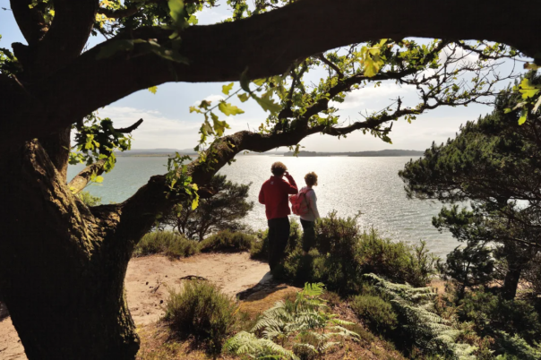 Brownsea Island Dorset - The Ultimate Guide