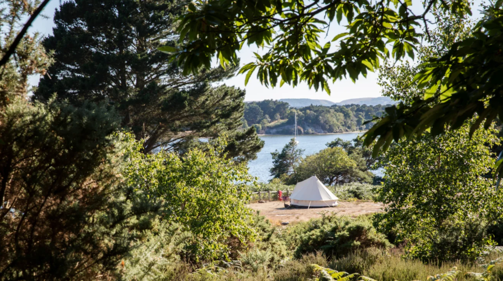 Brownsea Island Dorset - The Ultimate Guide