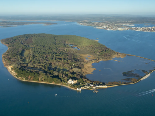 Brownsea Island Dorset - The Ultimate Guide