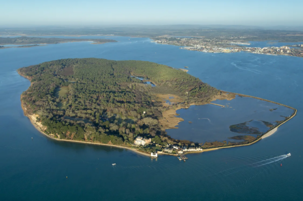 Brownsea Island Dorset - The Ultimate Guide
