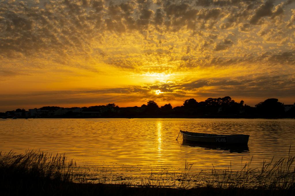September in Christchurch: 7 Brilliant Things to See, Do and Enjoy
