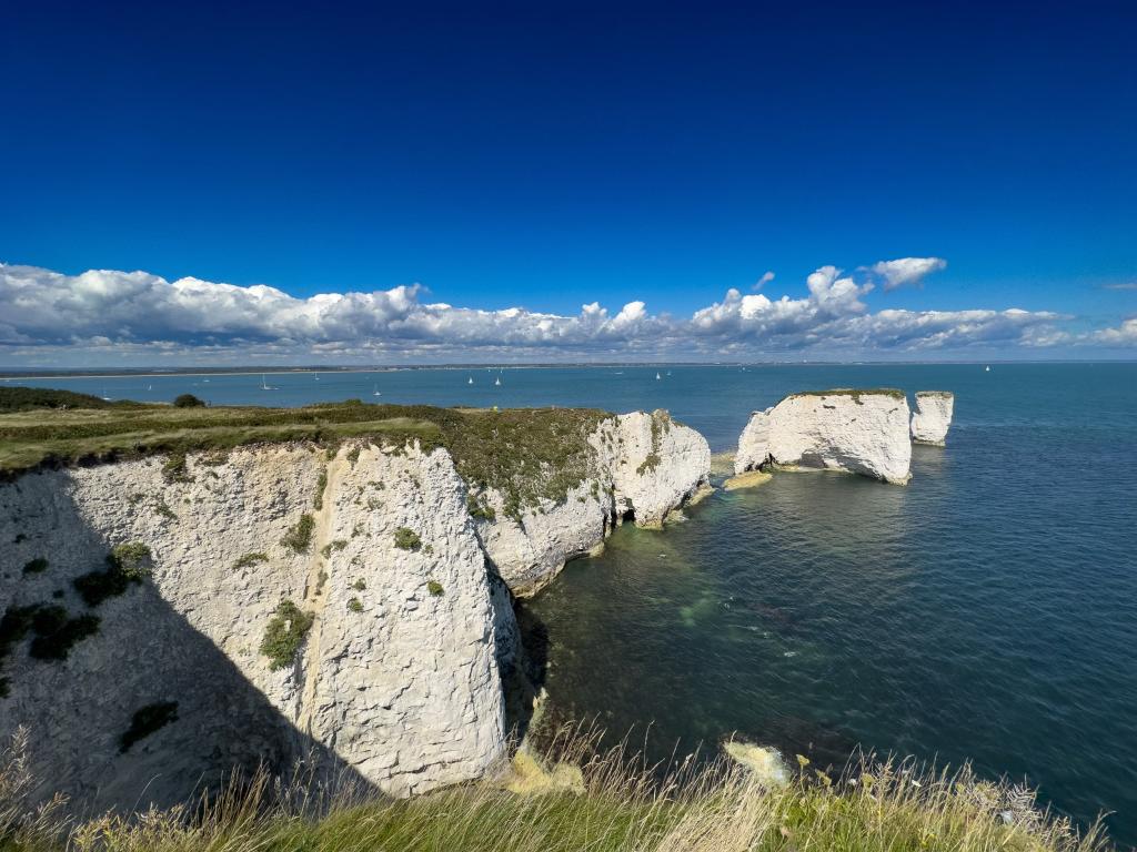 Five Famous Faces With Unexpected Connections to Dorset