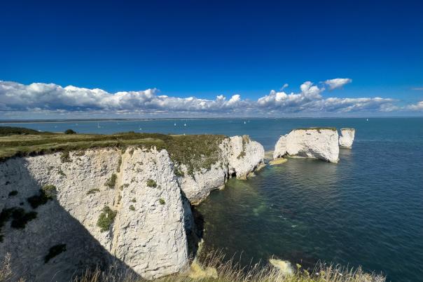 Five Famous Faces With Unexpected Connections to Dorset