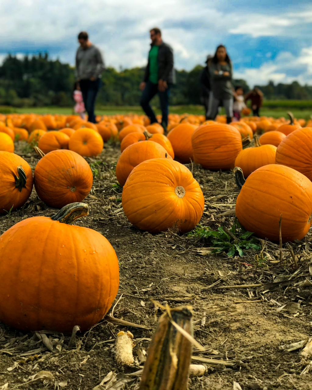 Halloween Events in Bournemouth 2026: Family Activities, Parties and Spooky Things to Do
