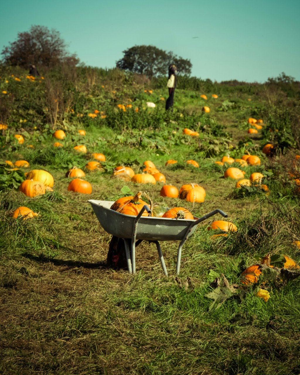 Halloween Events in Bournemouth 2026: Family Activities, Parties and Spooky Things to Do
