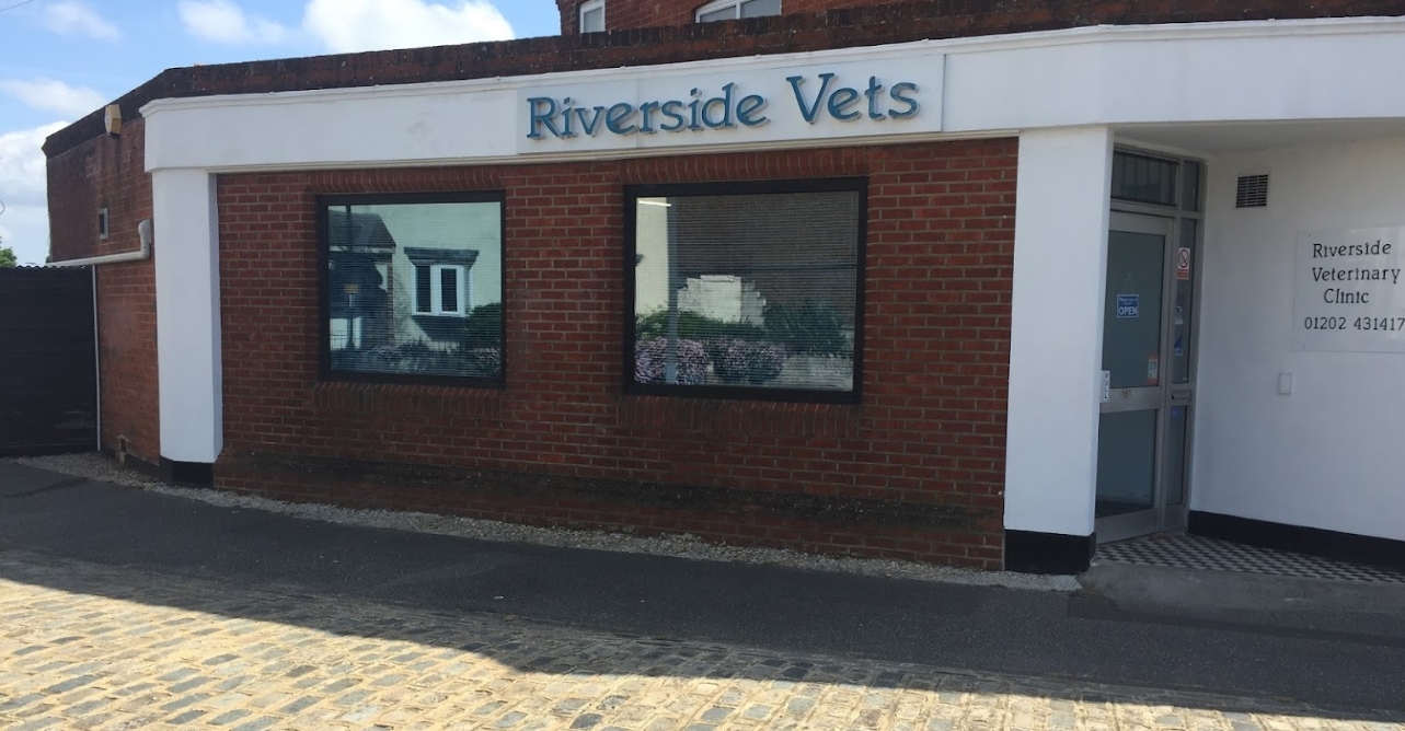 Find Local: Vets in Bournemouth, Christchurch, Poole & Dorset