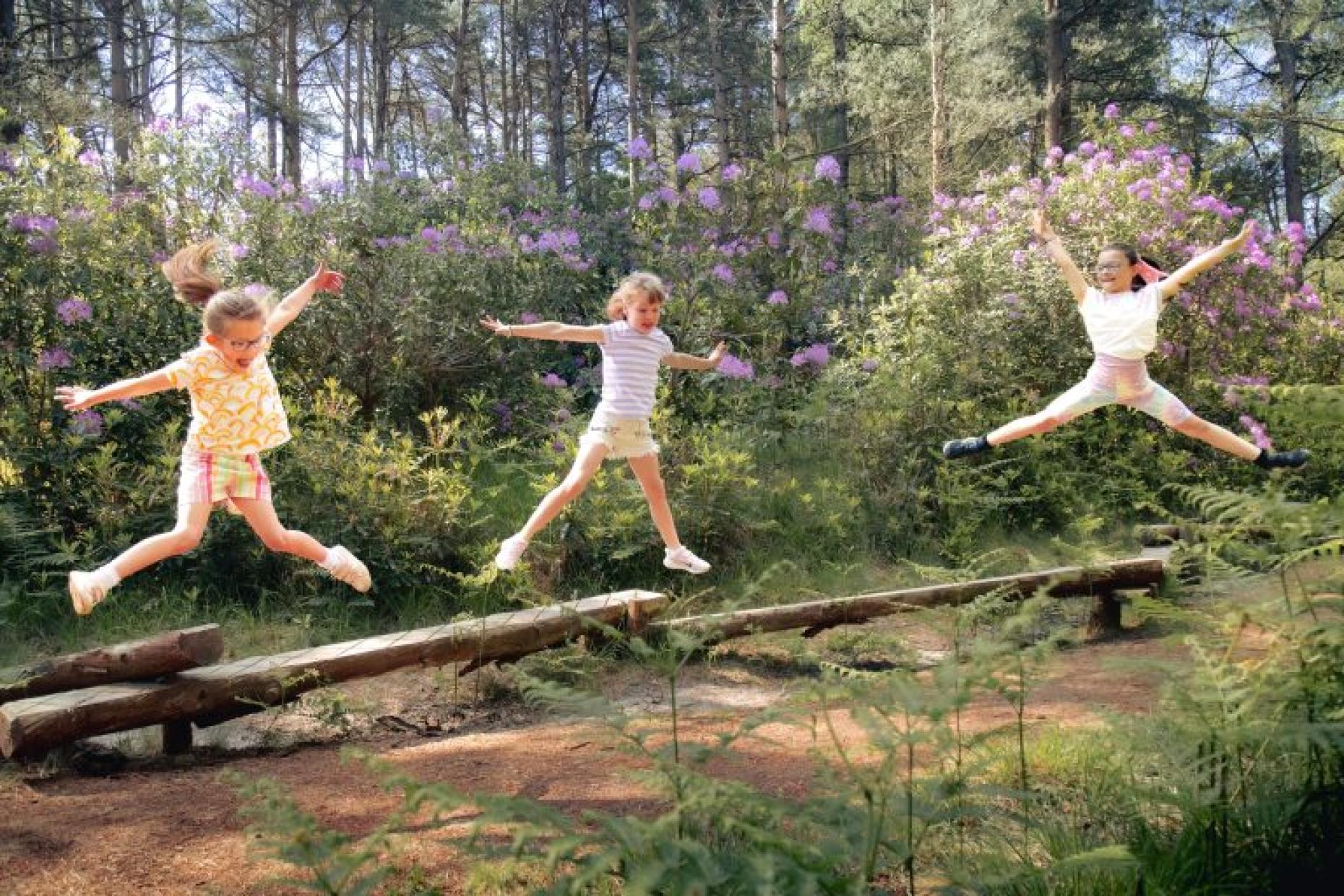 Visiting The Blue Pool Nature Reserve & Tearooms: Discovering Dorset’s Most Surreal Nature Reserve
