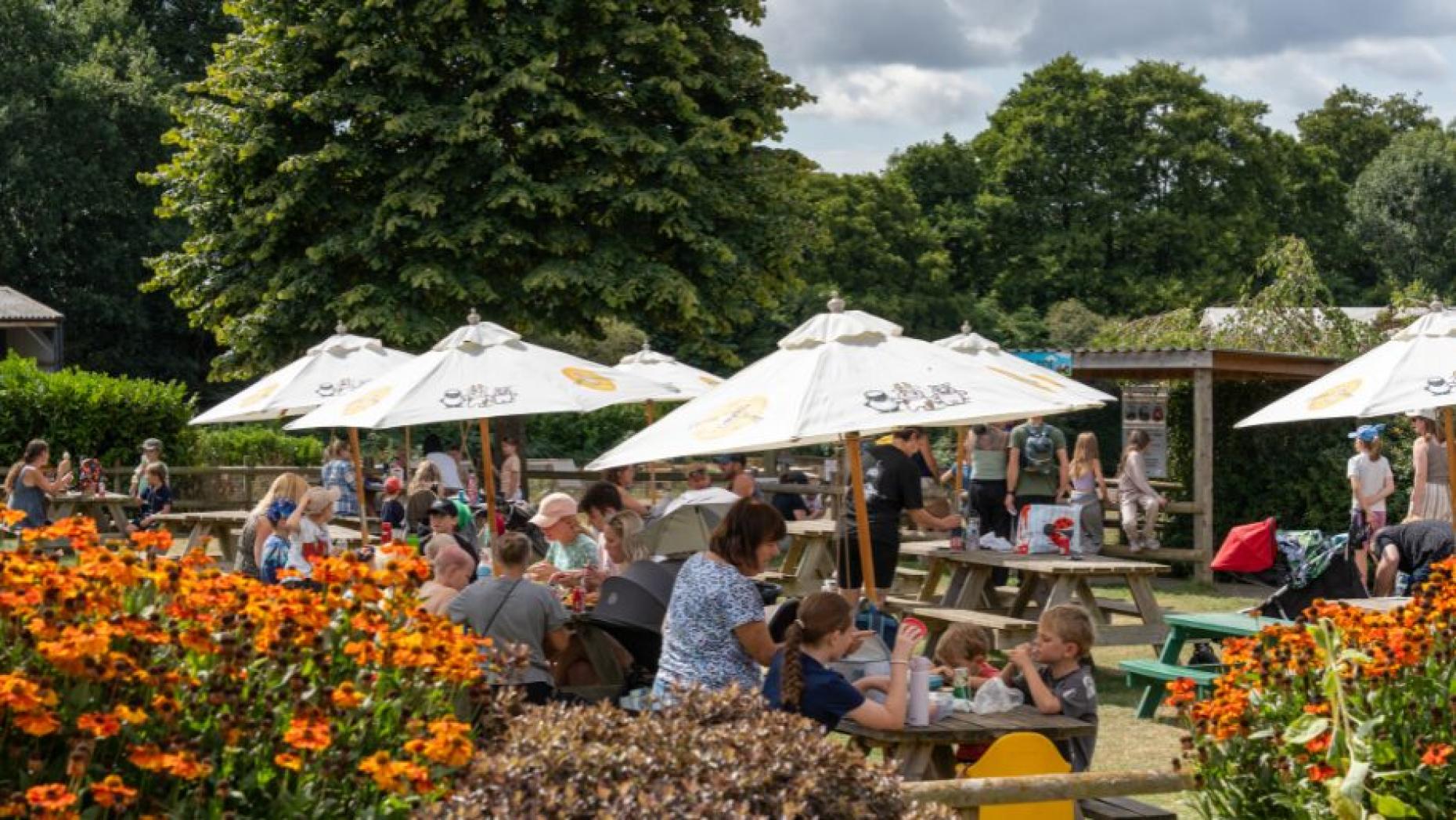 Farmer Palmer's Farm Park | Visitor Guide