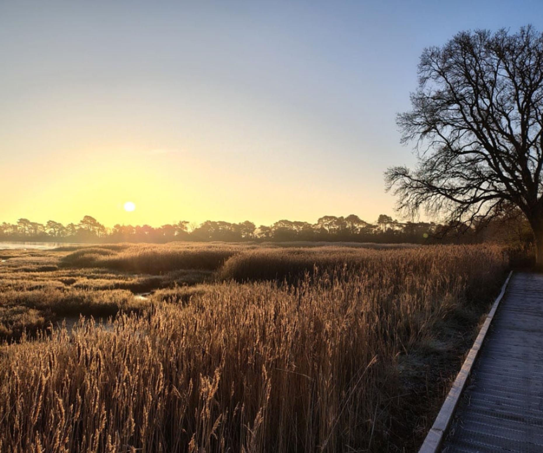 Upton Country Park Poole | Visitor Guide