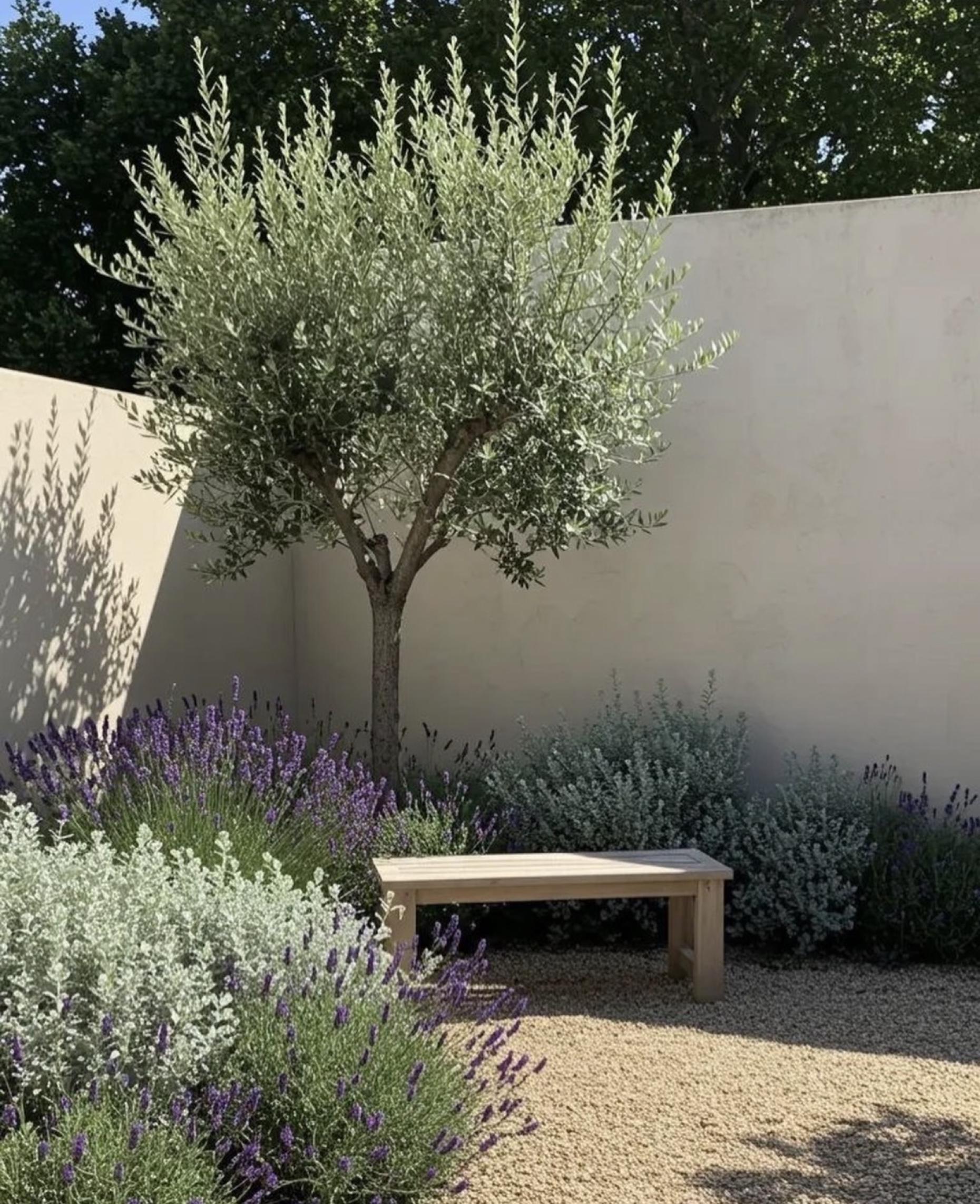 Mediterranean Style: The Latest Garden Trend We Love in Bournemouth