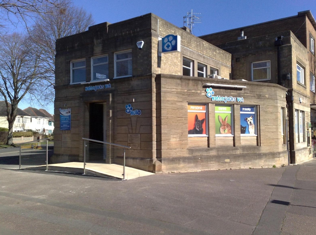 Find Local: Vets in Bournemouth, Christchurch, Poole & Dorset