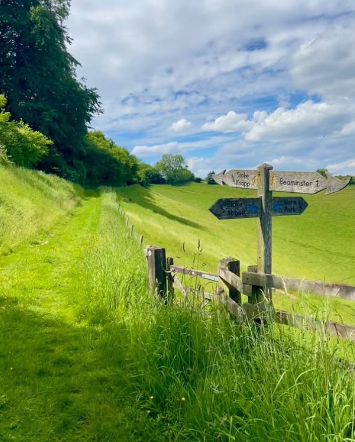 Ancient Trails in Dorset